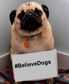 VP_Advocacy's tweet photo. @JusticeTrublu @JuliaBerkowitz1 #BelieveDogs https://t.co/zIorVTbNNo