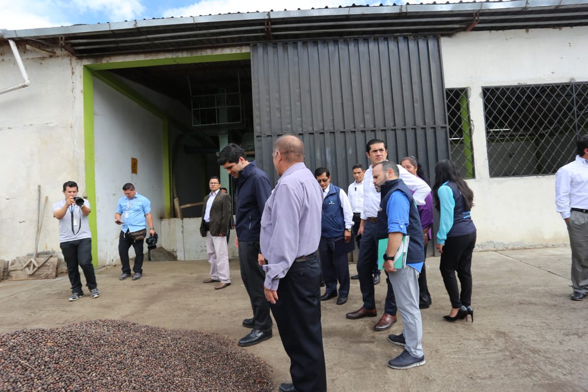 JorgeWated's tweet photo. Junto al vice @ottosonnenh visitamos a Ángel Rentería, un orgullo para nuestro país 🇪🇨. Con el crédito de 120 mil que recibió incremento su productividad y da trabajo a 150 familias de la zona. Somos #ElBancoDelPueblo https://t.co/cJoJPP3AGL