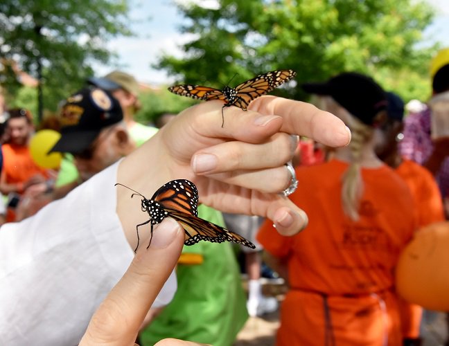 Cr4Hope's tweet photo. Wings of Hope is 3.5 weeks away!
Register for the Walk for Hope, purchase a handmade paper butterfly tribute, or sponsor the event today! https://t.co/KS5n3oJvJd
We hope to see you on Saturday, June 8th!
#JoinUsCSCCNJ #Wings2019 https://t.co/Agda0izwEc