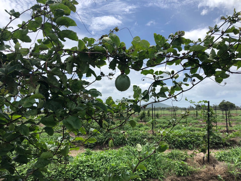 We are woking on a future product for industry. 

#FrankMason #MackayInnovationCentre <a href="/AdvanceQld/">Advance Queensland</a> <a href="/JGilbertMP/">Julieanne Gilbert MP</a> <a href="/katejonesqld/">Kate Jones</a> @GChristensenMP <a href="/SplitSpaces/">Split Spaces</a> <a href="/WilliamsonGR/">Mayor_GregWilliamson</a> <a href="/CQUniMackay/">CQUniversity Mackay</a> @ceordamiw <a href="/isaacrcouncil/">IsaacRegionalCouncil</a> <a href="/RINMackay/">ResourceIndustry</a> <a href="/taniabegg/">Impact Improvements</a> <a href="/Innov_Aus/">InnovationAus</a> @ClassicHits4MK <a href="/ClintonBegg/">Clinton Begg</a> <a href="/LindonLawn/">Lindon Lawn</a>