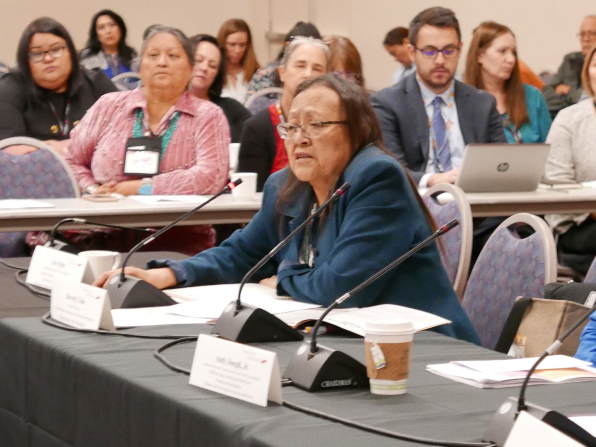 NIHB1's tweet photo. At the #CDC listening session, Beverly Coho, vice-chair of the Albq Area Indian Health Board, said "e-cigarette use among our youth is an epidemic. We all must take aggressive steps to protect our children." #NIHB #TPHS2019 #Nativehealth #ThisIsTribalPublicHealth #AAIHB https://t.co/mQaestiapx