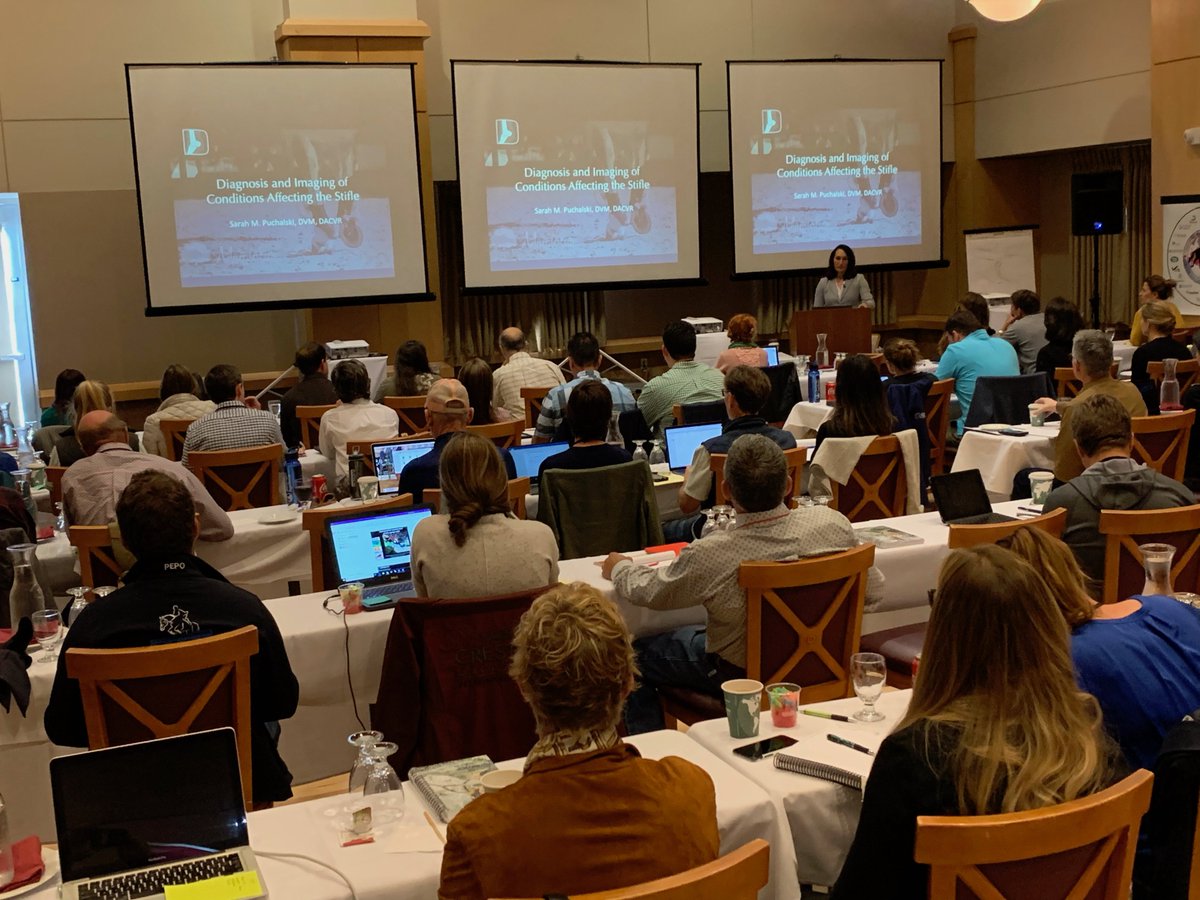 We just returned from San Francisco, where we provided all the AV Support &amp; full video recording of a  Conference. This job is unique because we  build a customized jib to film a dissection. We also have a portion where we bring a live horse into the ballroom for demonstrations.