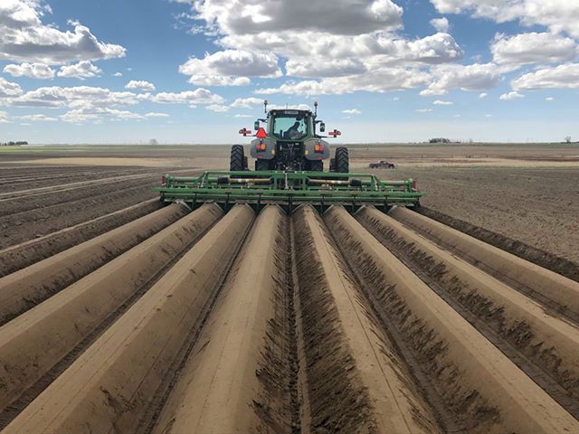 hanlonag's tweet photo. Making some quality potato hills in southern Alberta. Fendt and Baselier Ridge Former.  📸: @cpfarmsltd #Fendt #tractor #Baselier #powerhiller #ridgeformer #abag #potatoes https://t.co/KNfkr6zI98