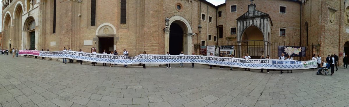 BellostaLab's tweet photo. Eccoci! oggi a Padova al Flash mob con Huntington gene #HuntingtonsDays #reteHuntington #CIBIO_UniTrento https://t.co/uFDCQ83rhL