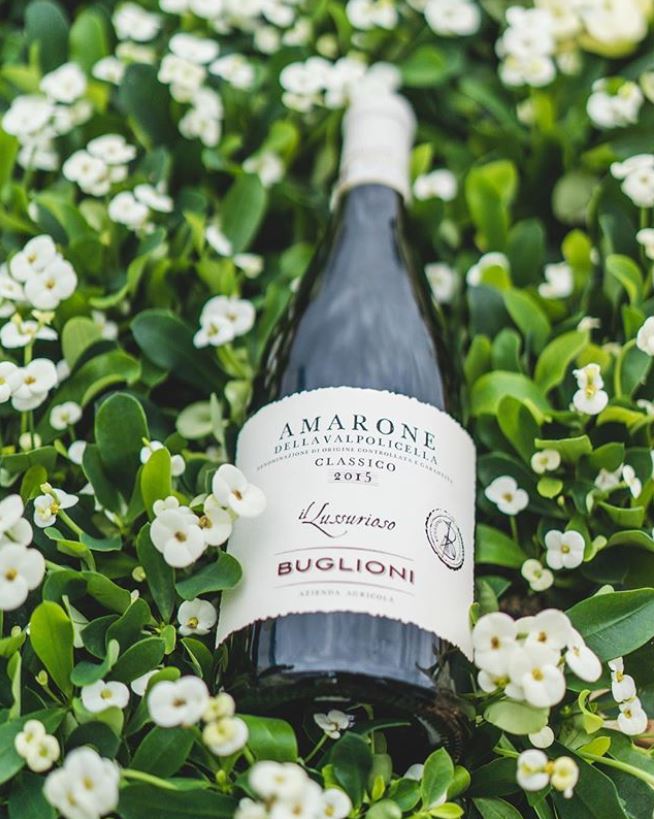 Nimbility tweet media