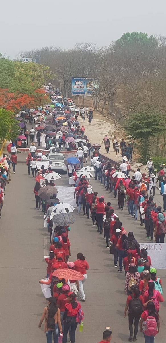 jaz_yan's tweet photo. CONAFE EN LA MEGAMARCHA, GRACIAS A LA CNTE POR SU APOYO #EducaciónSIDespidosNO #EducaciónSiDespidosNo
#TodosSomosCONAFE
#NOsomosaviadores
#AsiNoAMLO @lopezobrador_ @CONAFE_mx @ChiapasConafe @SEP_mx https://t.co/xcA1scK6Nt