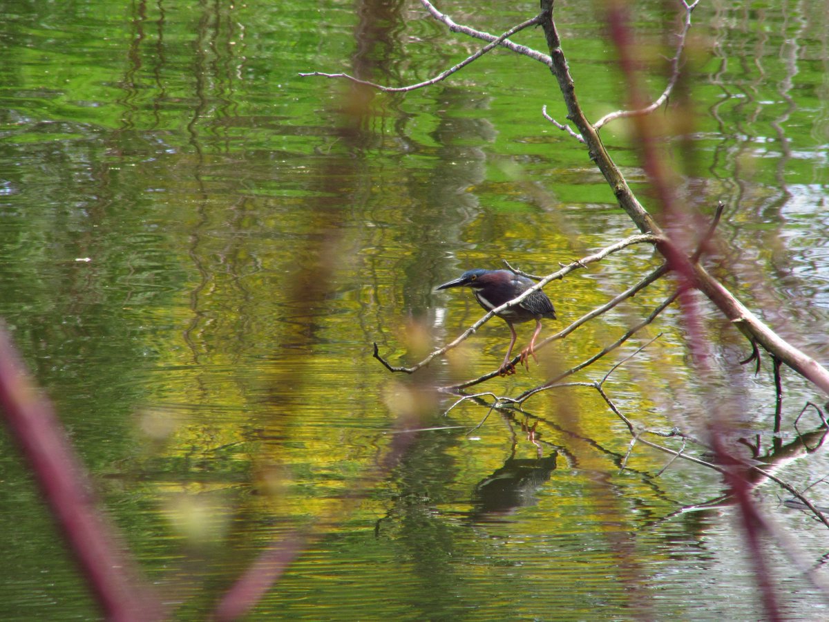 Heather Cray 🌱 tweet media