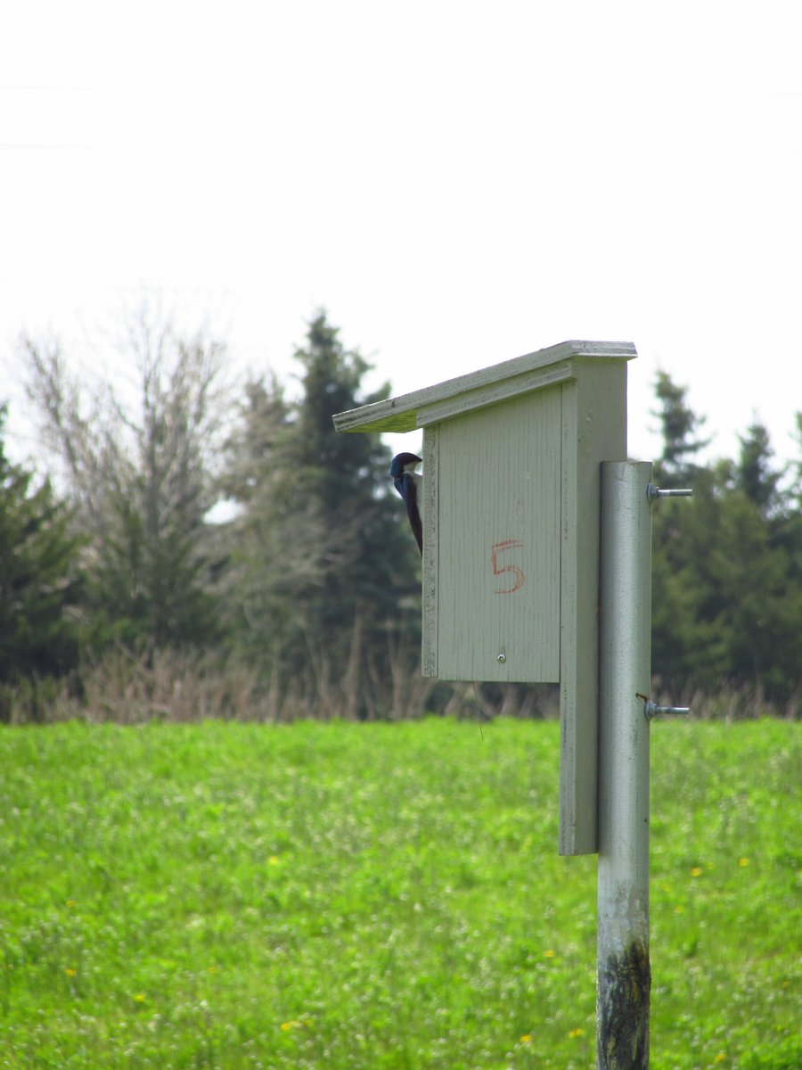 Heather Cray 🌱 tweet media