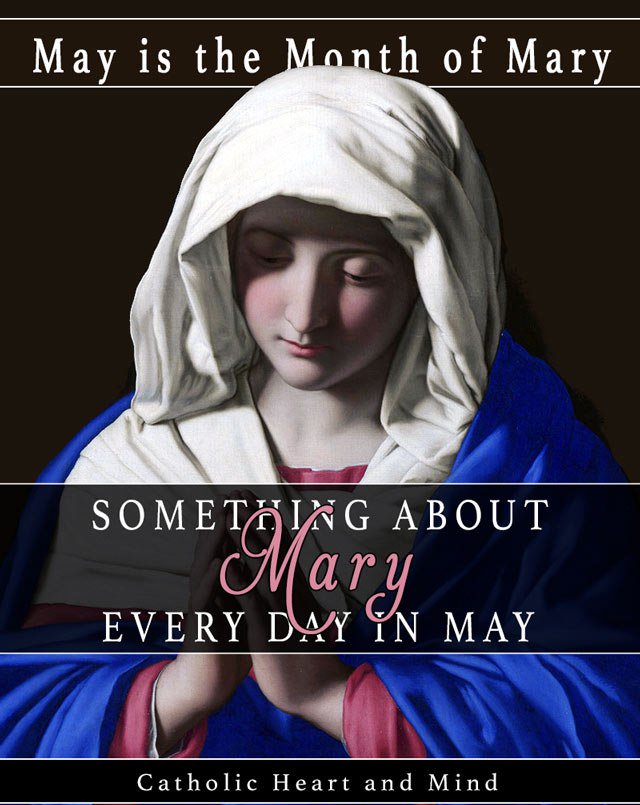 Mary & #Divine Mercy: #StMaximillianKolbe, #StFaustina, & #PopeStJohnPaulII were all living in Krakow at about the same time, all 3 had an intense devotion to the #BlessedVirginMary. #CatholicTwitter catholicheartandmind.com/2019/05/15/div…