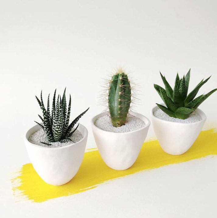 Decoroom1's tweet photo. Somos un micro emprendimiento creado por estudiantes. Con todo lo de decoración y super lindas!!
Todo para tu depto y si estás en nueva Córdoba  lo llevamos hasta la puerta de tu casa! Seguinos en insta @deco_roomm  
@VivireNuevaCba https://t.co/faaKalFbLM