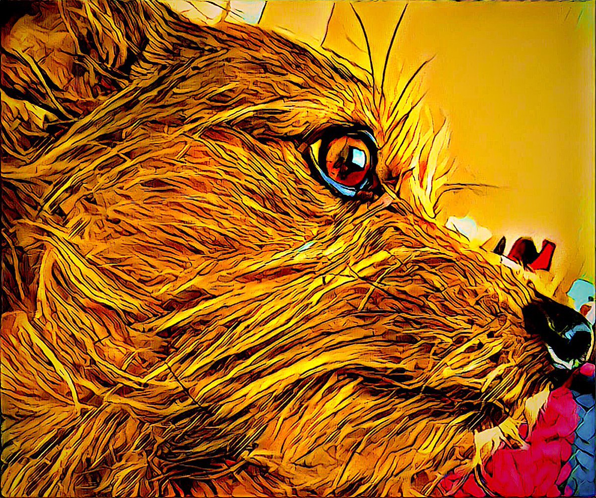 HeWhoLovesWords's tweet photo. @bleuroux @exurbanmermaid Ermagherd check this noise! Love this app! Calling this “Black Blotter Ollie.” #SpaceYourFace Or this case, #SpaceYourDogsFace. ☮️🤠😈💀👽😻🤘🏼 https://t.co/rwY9OPU5GV