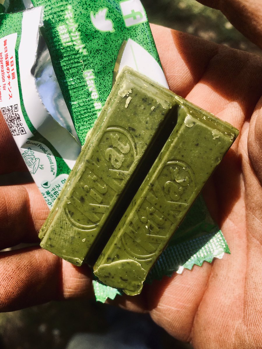 LlewellynDerran's tweet photo. I love #RHSChelsea for the annual reunions with some lovely people. Today I was given this little gift by the delightful Yuko Nagamura #greenteakitkat https://t.co/9xn7zT90KN