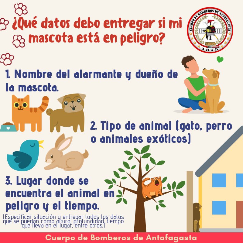 bomberos_antof's tweet photo. ✔Queridos Seguidores👥 tras el aumento que hemos observado en rescates de animales domésticos, te dejamos este afiche informativo para que podamos ayudarte de mejor manera cuando los más pequeños e indefensos de nuestro hogar necesitan ayuda.🐾😸🐶 #Bomberos #Antofagasta 🚒 https://t.co/pHjGVcWGH8