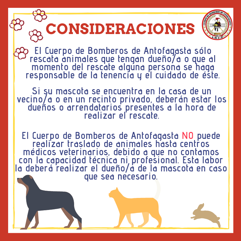 bomberos_antof's tweet photo. ✔Queridos Seguidores👥 tras el aumento que hemos observado en rescates de animales domésticos, te dejamos este afiche informativo para que podamos ayudarte de mejor manera cuando los más pequeños e indefensos de nuestro hogar necesitan ayuda.🐾😸🐶 #Bomberos #Antofagasta 🚒 https://t.co/pHjGVcWGH8