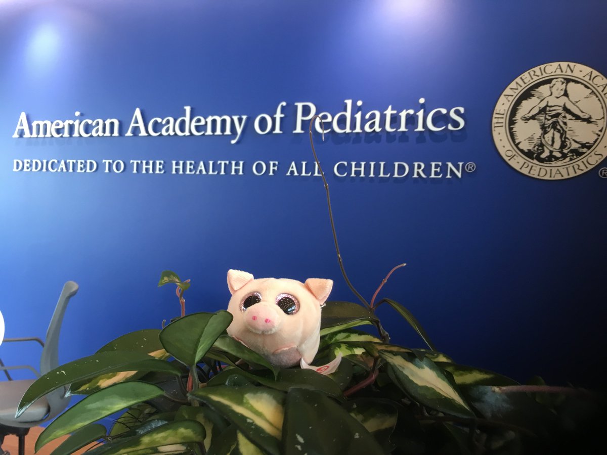 greenhousemd's tweet photo. Introducing the newly slimmed down and improved @DrPegthePed. Able to leap tall troughs in a single bound. Advocating for kids in SC and everywhere. And most importantly, able to travel in my handler's pocket. First trip to the mothership @AmerAcadPeds. And loving it.#oinkforkids https://t.co/aP6vGh1ebF