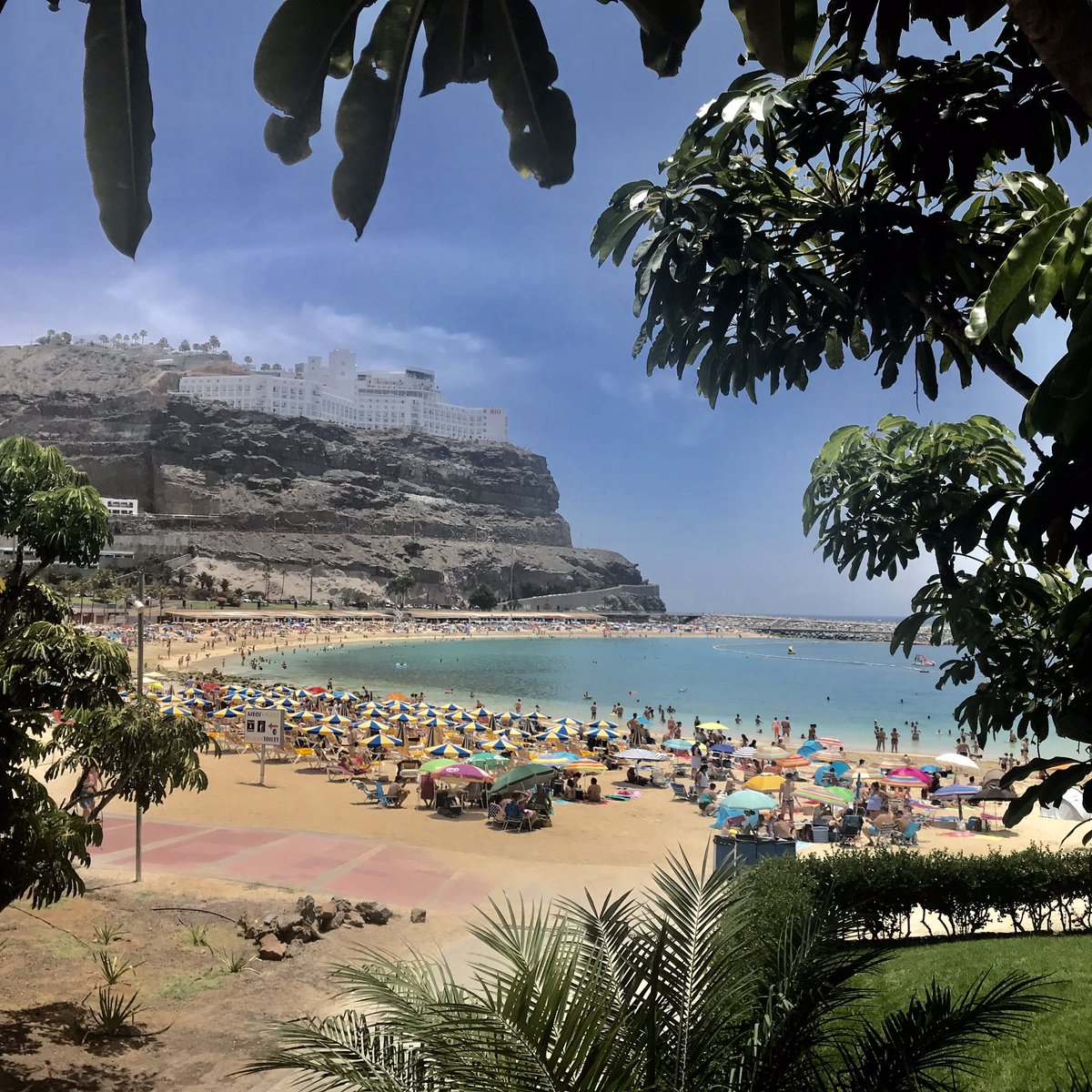theAAchannel's tweet photo. 📍Playa de Amadores, Gran Canaria, Spain 🇪🇸
📷 @theAAchannel https://t.co/NVhgothSoi