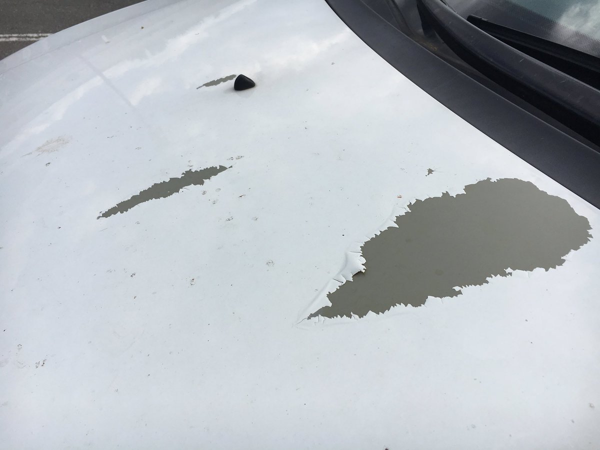 coll_tweet's tweet photo. Listen. We’ve been very very loyal @Honda owners for decades.. and this white paint peeling and flaking off my 2012 #HondaOdyssey is totally unacceptable!! What do we do, @Honda? https://t.co/voaMltOKPR