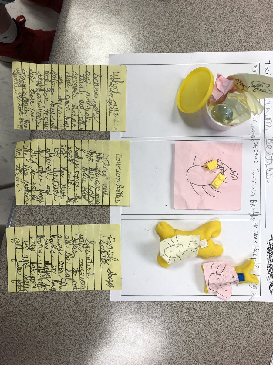 mrskanopka's tweet photo. Hacking the writer’s workshop with Mrs. Madden’s fourth grade class at SG. Using loose parts to think it, build it, write it. All about decomposers and the nutrient cycle. #looseparts #wisslearns @AngelaStockman https://t.co/016GGEqEcU