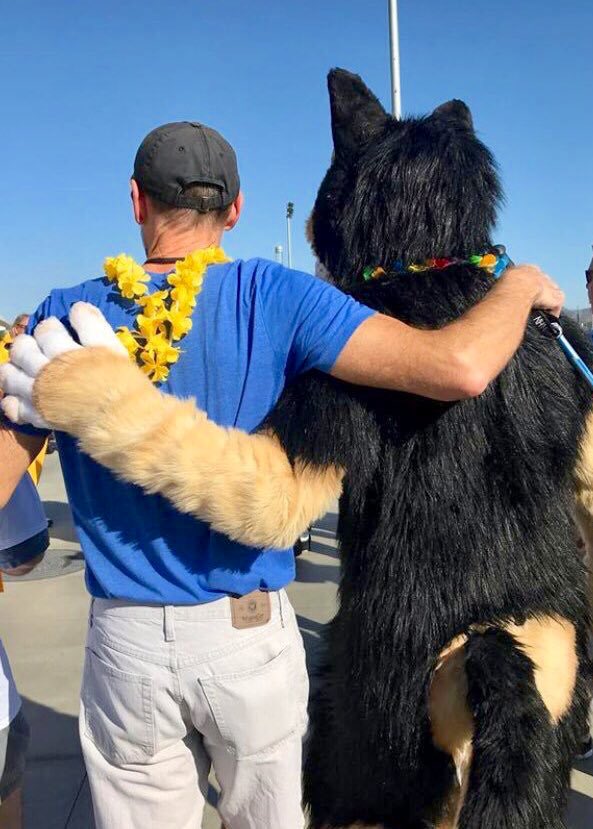 scottyminotaur's tweet image. Dogbomb asked me to help carry on his character.
His fursuit is packed and ready for @BiggestLittleFC.
This is for you, my friend!  🍺