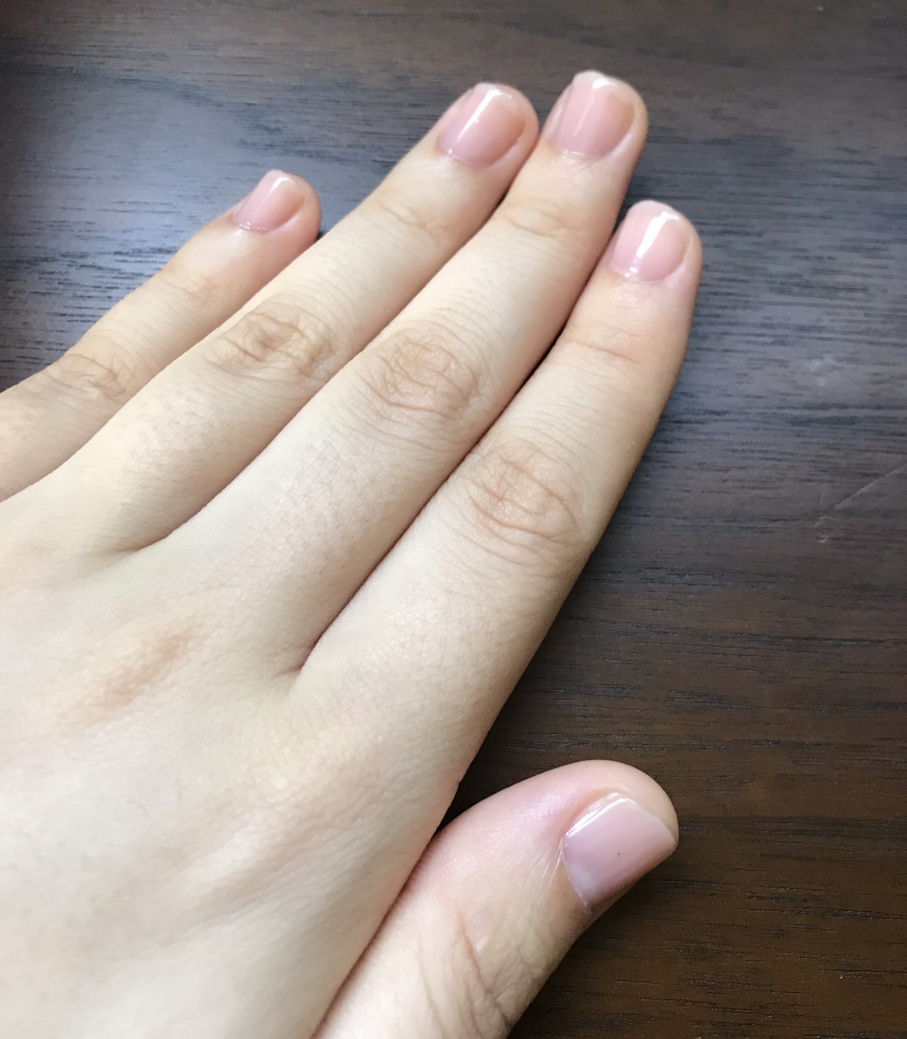 紅威 Do Without24 Twitter