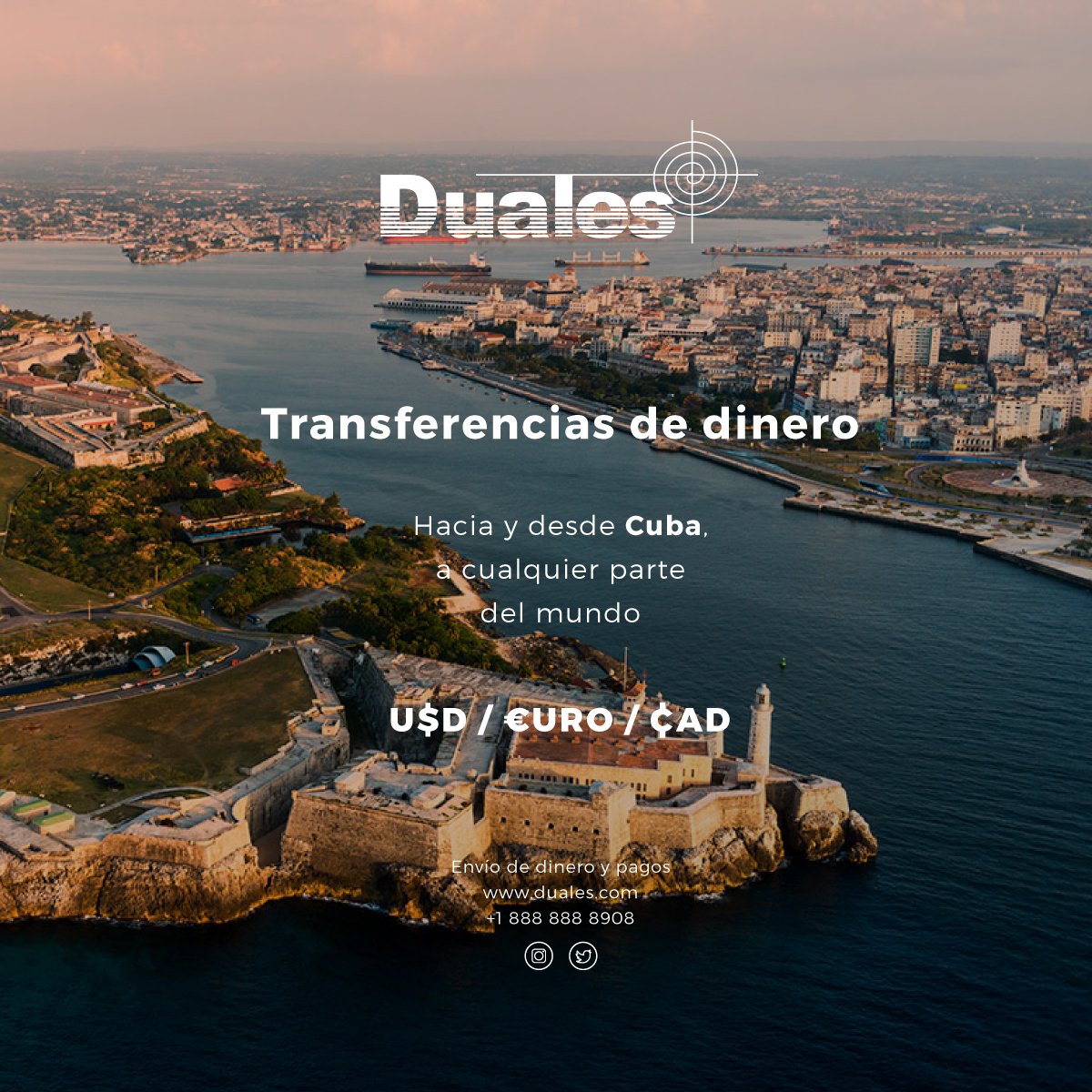 Duales Inc tweet media