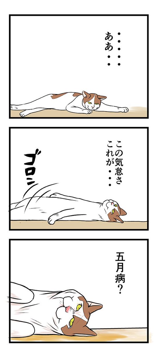 猫パンチTVで毎週木曜日4コマ漫画掲載中。 https://t.co/FPAz1gOlqs https://t.co/dTUOKsnJsU
ネコぐらし https://t.co/sFBBMlXQIy