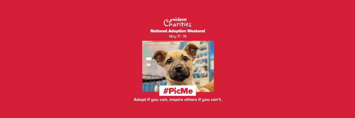 It's almost National Adoption weekend! Come out to PetSmart on Brodie Lane for a chance to meet some of our amazing dogs and cats. Volunteer adoption coordinators will be standing by to meet you from 11-5 Friday May 17-Sunday May 19.
