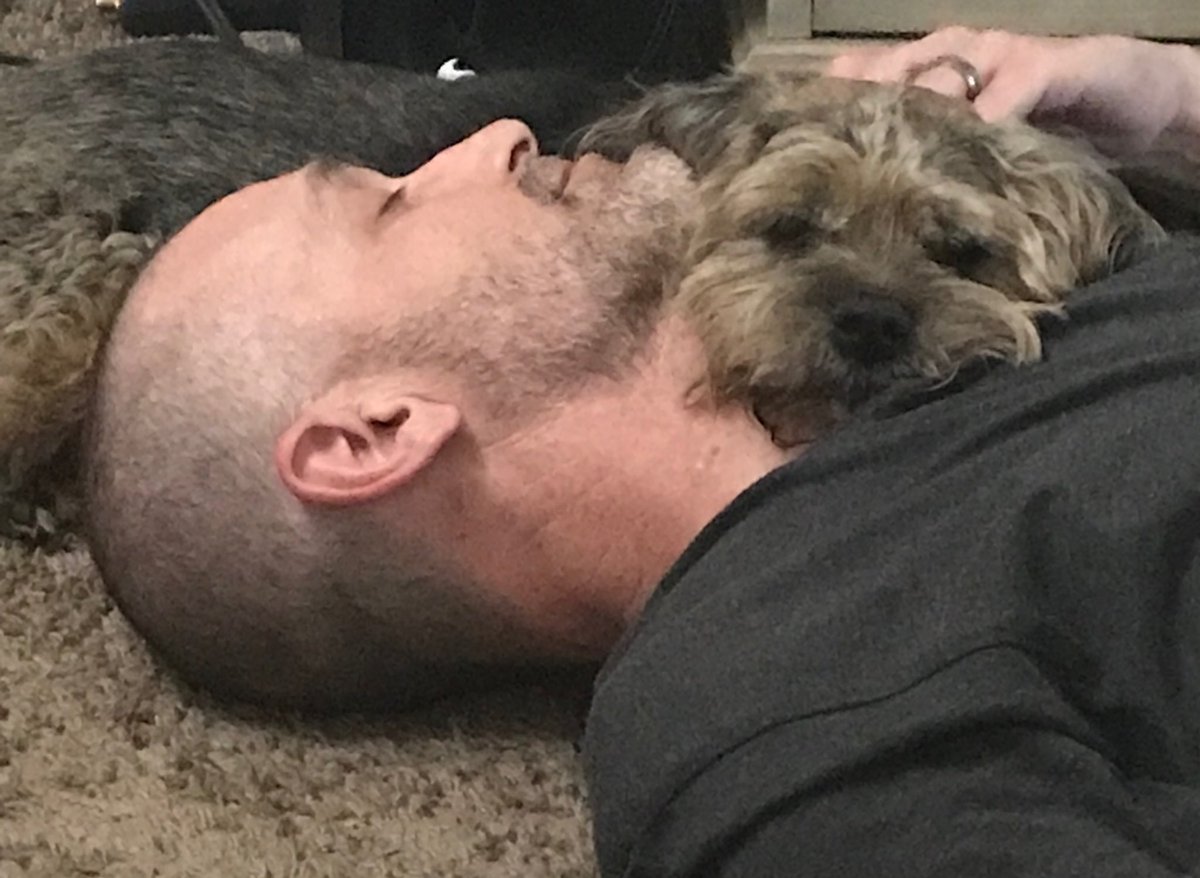 debbie47747533's tweet photo. Love ❤️ #borderterriers #dogs #dogsoftwitter #thedodo #ilovemydog #Madison #Daddydog #Madison’sadventures https://t.co/ljwzdjOCkl