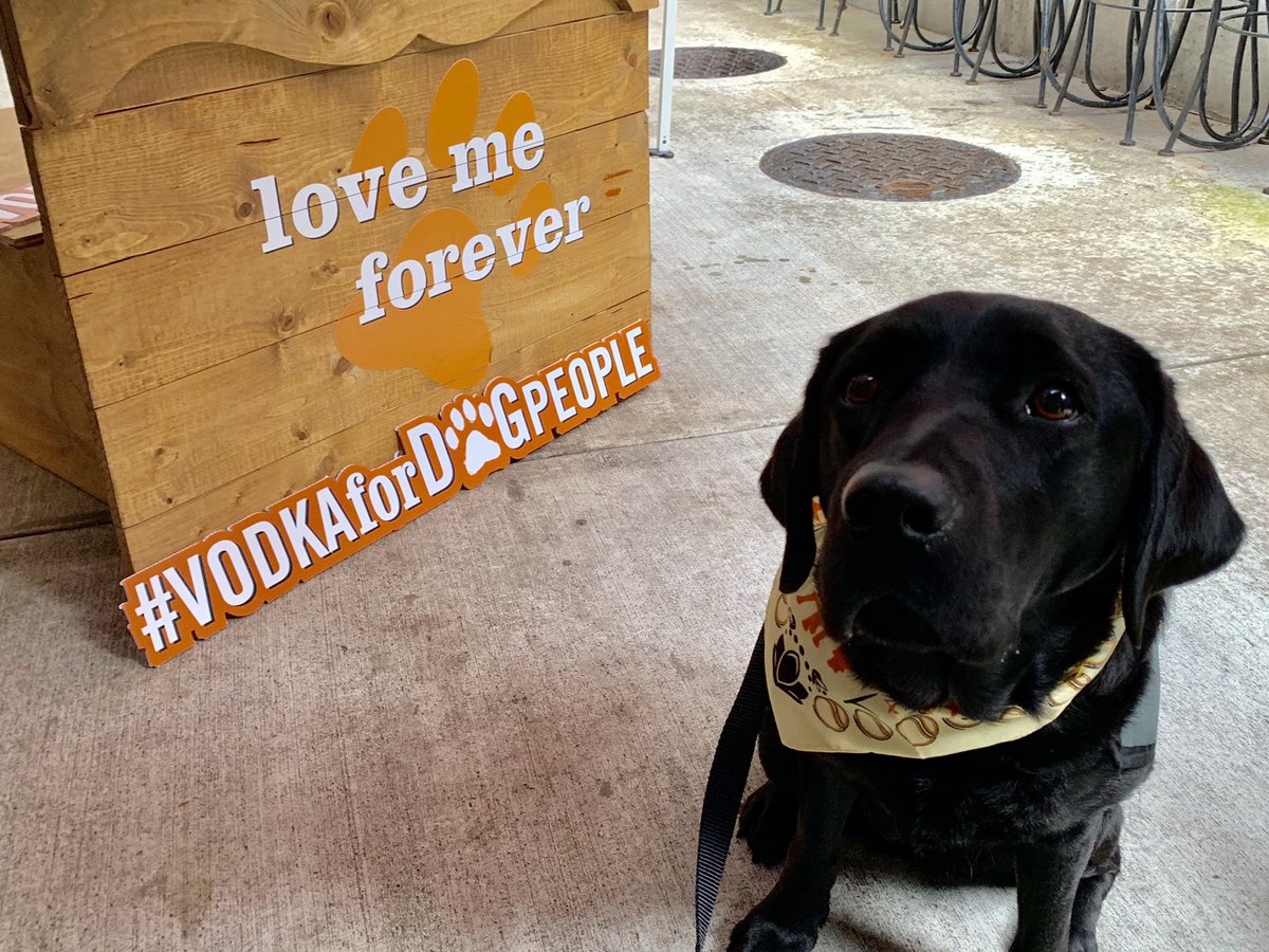DoveLewis's tweet photo. We are at @henrystavern with @TitosVodka right now for the weekly Yappy Hour! Join us for a drink and some cuddles with the our therapy dogs to support DoveLewis! #yappyhour #vodkafordogpeople https://t.co/zb4fgeEz7c