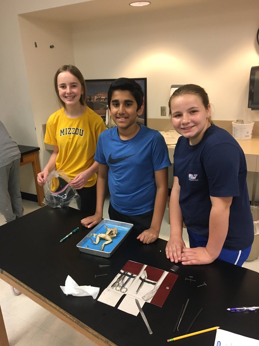 CrestviewMiddle's tweet image. Our 6th grade science classes go to dissect frogs today as they learn about living things.  #CMSLearns