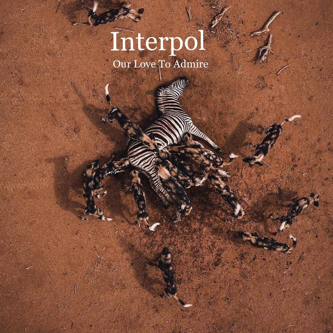IYRLM's tweet photo. Interpol - Our Love to Admire

#Interpol #bankspaulbanks #Interpolnyc #Interpolband #memes #band #OLTA https://t.co/izCsAQVsYq