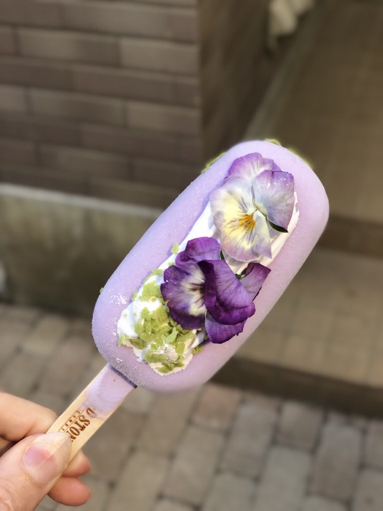 Callmeshamsa__'s tweet photo. I want to try this💜🌷 https://t.co/VO3zjzAYNn