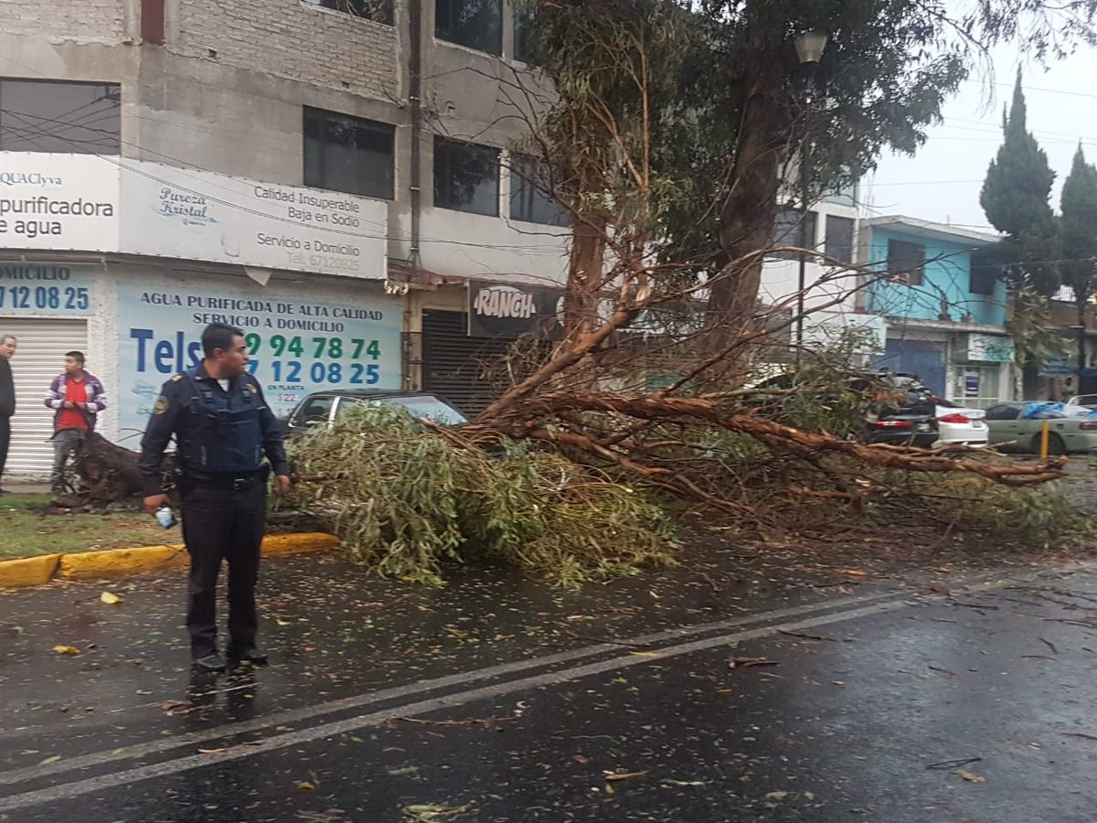 <a href="/Mreddamaro/">Edd Robles</a> <a href="/TlalpanVecinos/">Tlalpan Vecinos</a> <a href="/GobCDMX/">Gobierno de la Ciudad de México</a> <a href="/locatel_mx/">@locatel_mx</a> <a href="/Claudiashein/">Claudia Sheinbaum Pardo</a> <a href="/SEDEMA_CDMX/">Secretaría del Medio Ambiente</a> <a href="/EnCoapa_/">Coapa</a> <a href="/VillaCoapaMX/">Villa Coapa CDMX</a> <a href="/cebadales/">Cebadales</a> <a href="/VecinosCoapa/">Magisterial Coapa</a> <a href="/AjuscoTlalpan/">Zona Ajusco Tlalpan</a> <a href="/TlalpanConscien/">Tlalpan Consciente</a> <a href="/CiudActivos/">CiudadanosActivosR</a> <a href="/elsoldelomas/">El Sol de Lomas</a> <a href="/TlalpanCoyoacan/">Acoxpa Ciudadano</a> Cañaverales