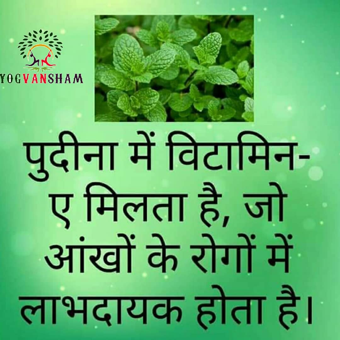 Yogvansham2's tweet photo. #mint #mintleaves #benefitmint leaves  #protein #calcium #sodium #vitamin #minerals #health #natural #yoga #morningdiet #morningyoga #yogvanshamteam #yogvansham https://t.co/wiXJGziEXR