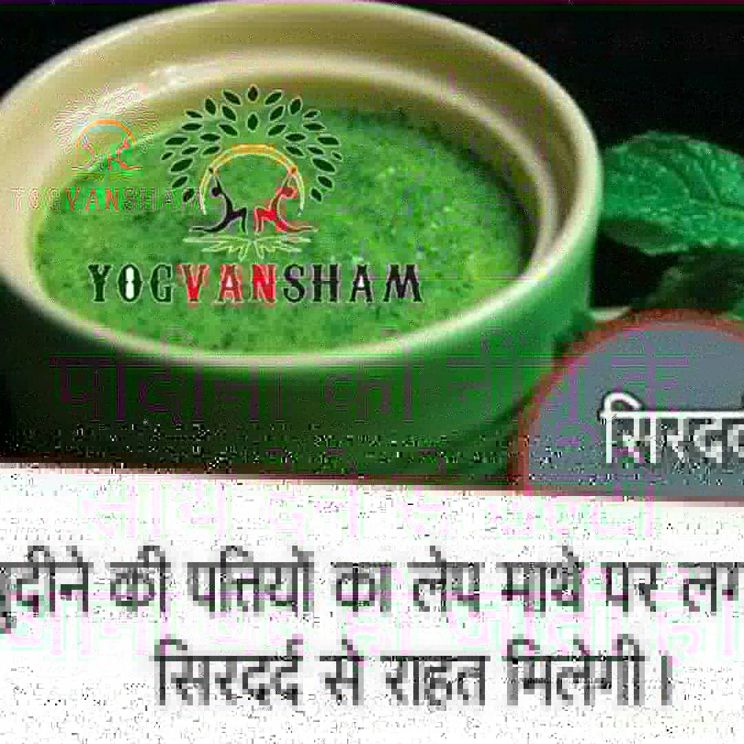 Yogvansham2's tweet photo. #mint #mintleaves #benefitmint leaves  #protein #calcium #sodium #vitamin #minerals #health #natural #yoga #morningdiet #morningyoga #yogvanshamteam #yogvansham https://t.co/wiXJGziEXR