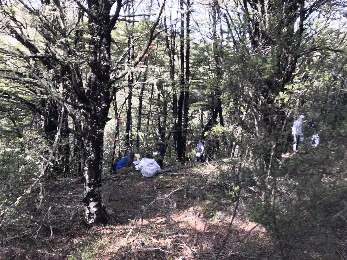 Adrian Paterson (@darwinnernz) on Twitter photo Lots of geology and ecology on PHSC107 field trip into Southern Alps today. <a href="/LincolnUniNZ/">Lincoln University</a> <a href="/ecolincnz/">Ecology@LincolnUniNZ</a> Lots of geology and ecology on PHSC107 field trip into Southern Alps today. <a href="/LincolnUniNZ/">Lincoln University</a> <a href="/ecolincnz/">Ecology@LincolnUniNZ</a>
