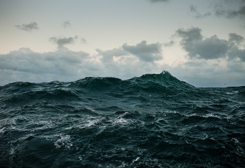 Andy Adams tweet media