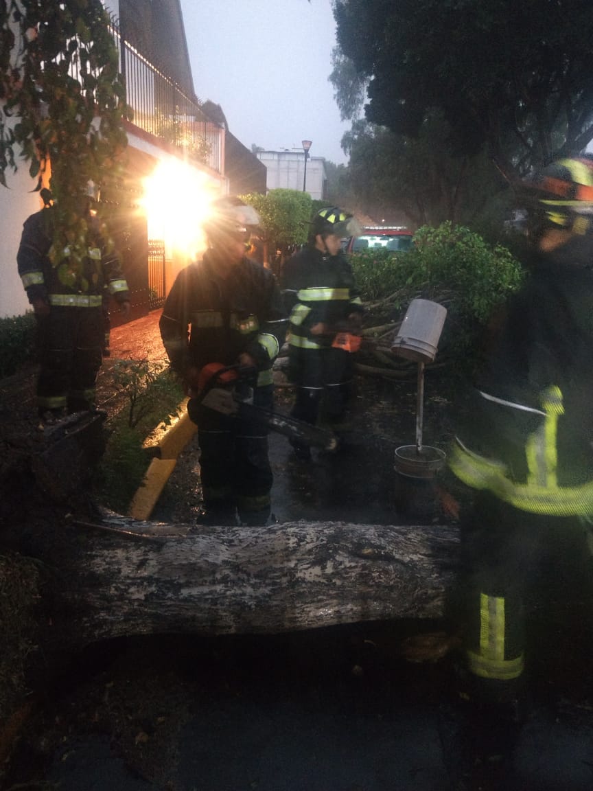 SindicatoHCB's tweet photo. Bomberos de la CDMX trabajan en Jardines de Coyoacan en 4 árboles desprendidos desde su base , tomé sus precauciones.
#yosoybombero https://t.co/0PrpRdJeZX