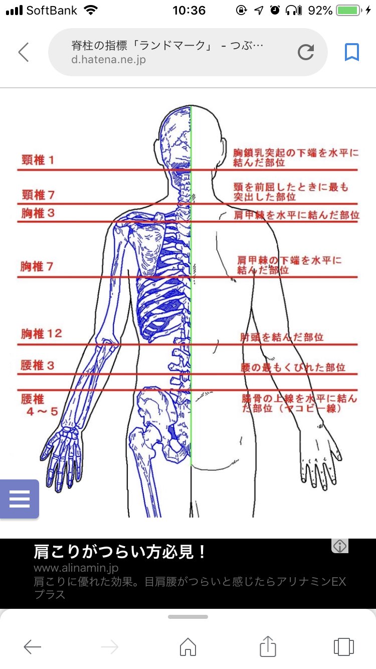 Twitter 上的 放射線技師への道 胸鎖乳突起 第一頸椎 首の後ろの突起 第7頸椎 肩甲棘 第3胸椎 肩甲骨下端 第7胸椎 肘頭 第12胸椎 腰のくびれ 第3腰椎 ヤコビー線 第4 5腰椎 T Co 6db2tl3lpv Twitter