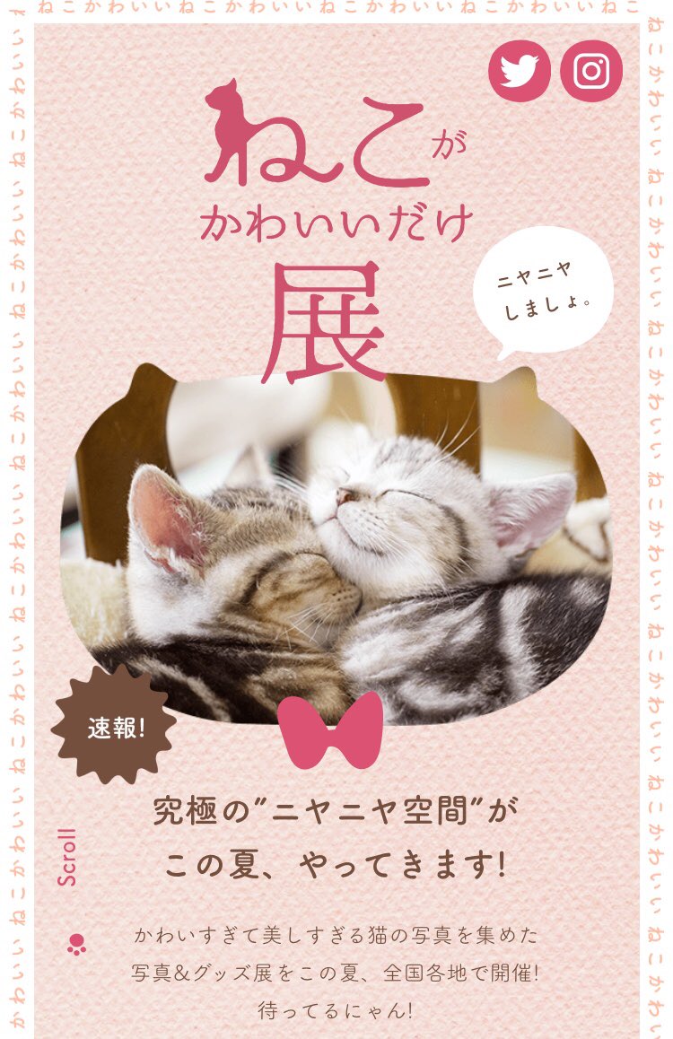 ねこがかわいいだけ展応募