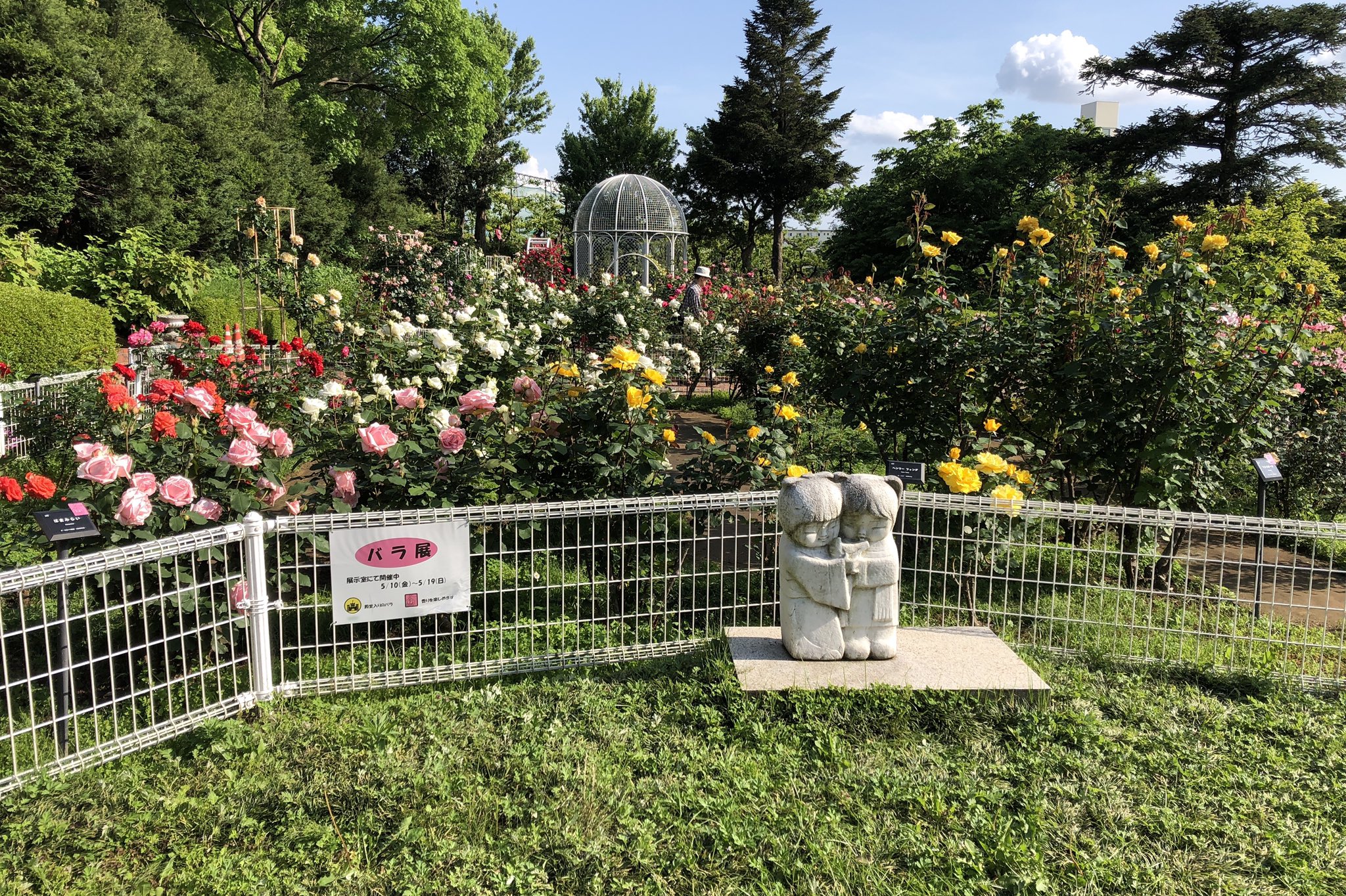 こども植物園 Twitter Search Twitter