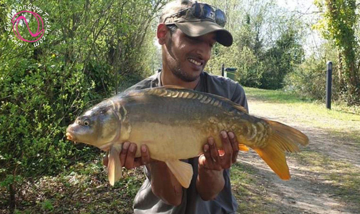 Sid Dubey Angler with one of nine carp, on a little pond in the sun.... All landed and released in the NSR, while using last elements hardware at the rig end. 

Evolutioncarptackle.com #EvolutionCarpTackle #Evolve® #ArtificialBaits #NSR® #LastElementsRange #TeamEvo