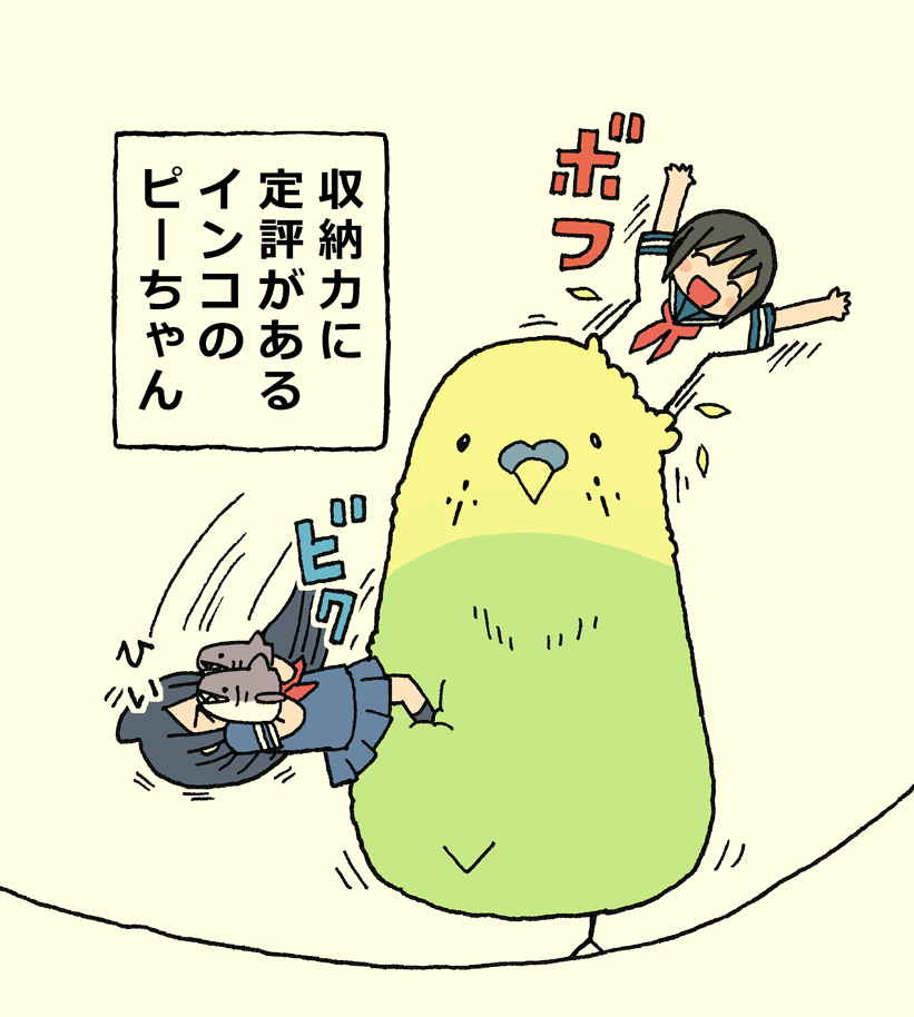 軽自動車ぐらいの収納スペース 