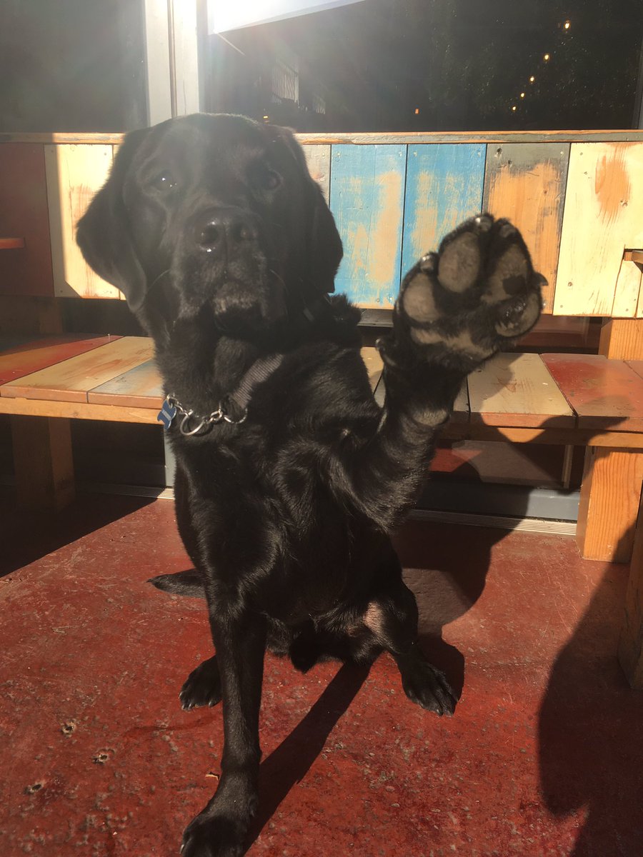 6 Today!!! #thenandnow