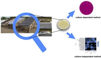 WaterRes_J's tweet image. #Microbialcommunity and occurrence of potential human #pathogens in #rainwater harvested from different #roofingmaterials sciencedirect.com/science/articl…