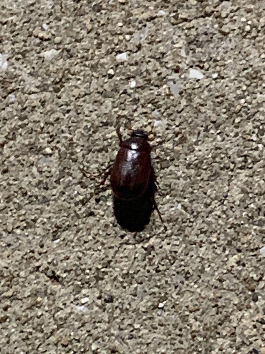 Stephanie Starry tweet media