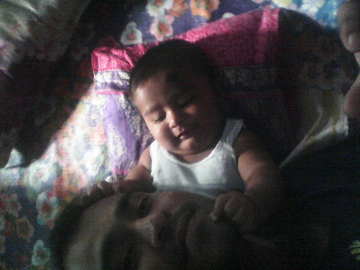 arush_biswas's tweet photo. When @arush_biswas is playing with his father (@anupkhulna). https://t.co/hmIViFXKLz