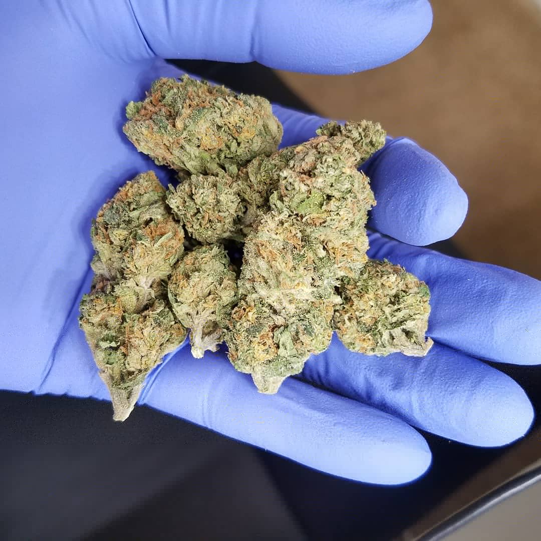 9Paychecks's tweet photo. 💍to the game. Piece of my Wedding 🎂. 
#weed #weddingcake #leafly #exotics #gas #indica #sativa #hybrid #caliplug #caliweed #calidrought #dank #kingpen #marijunana #loudpacks #strain #og #cookies #weedmaps https://t.co/rdDKJVwyed