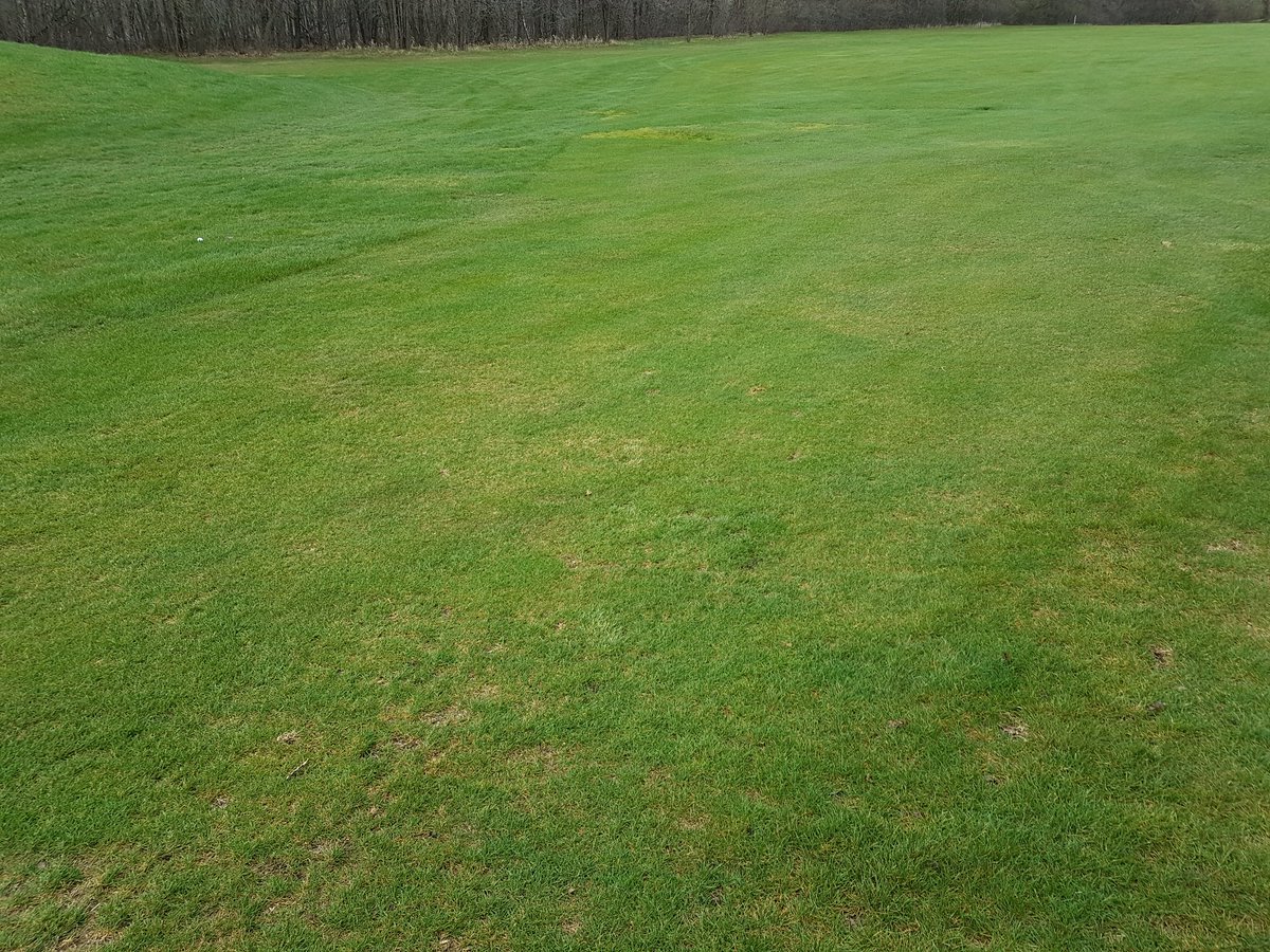 AndrewHGolf's tweet photo. Fairway only 5 yards wide at this point. Should have driven it another 30 yards further and it's 25 yards wide. #narrowfairways #golf #toughpar5 #getbetteratgolf https://t.co/rUh17BDoAD