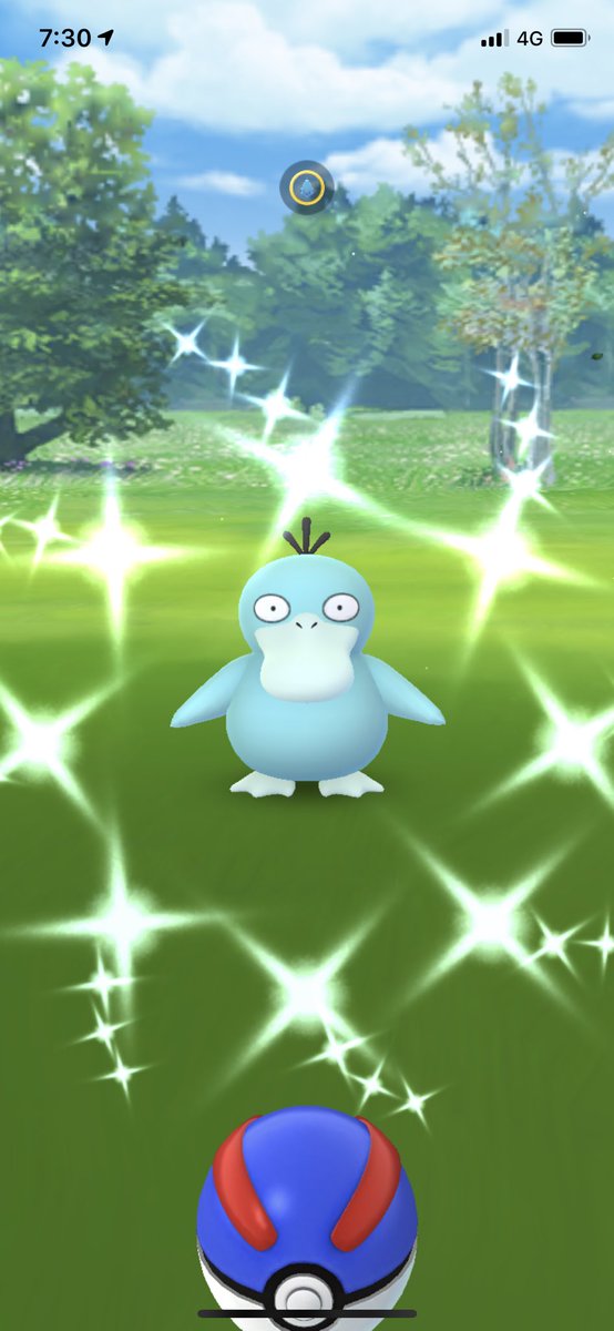 コダック色違い Twitter Search